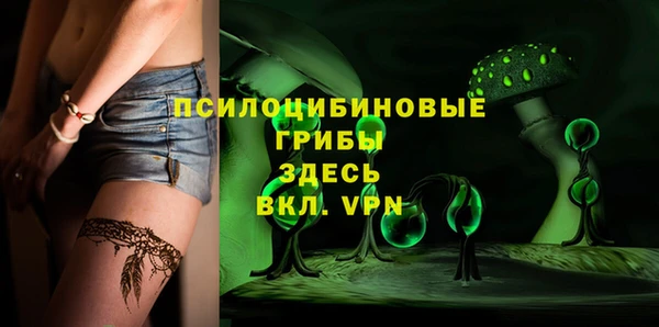 герыч Мегион