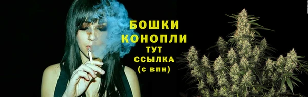 герыч Мегион