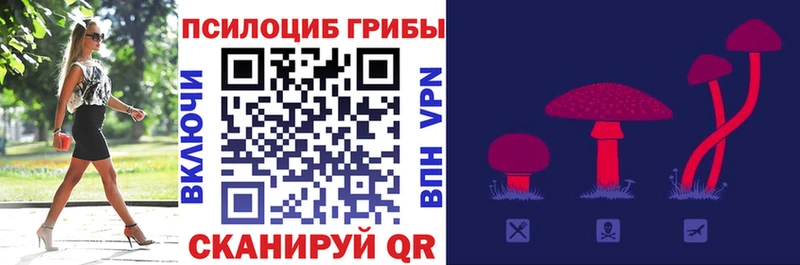 kraken рабочий сайт  Мытищи  Псилоцибиновые грибы Psilocybe 
