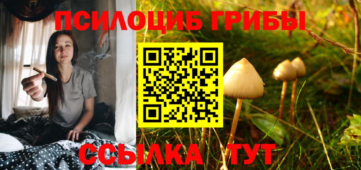где продают   Вход с VPN  Мытищи  Галлюциногенные грибы ЛСД 