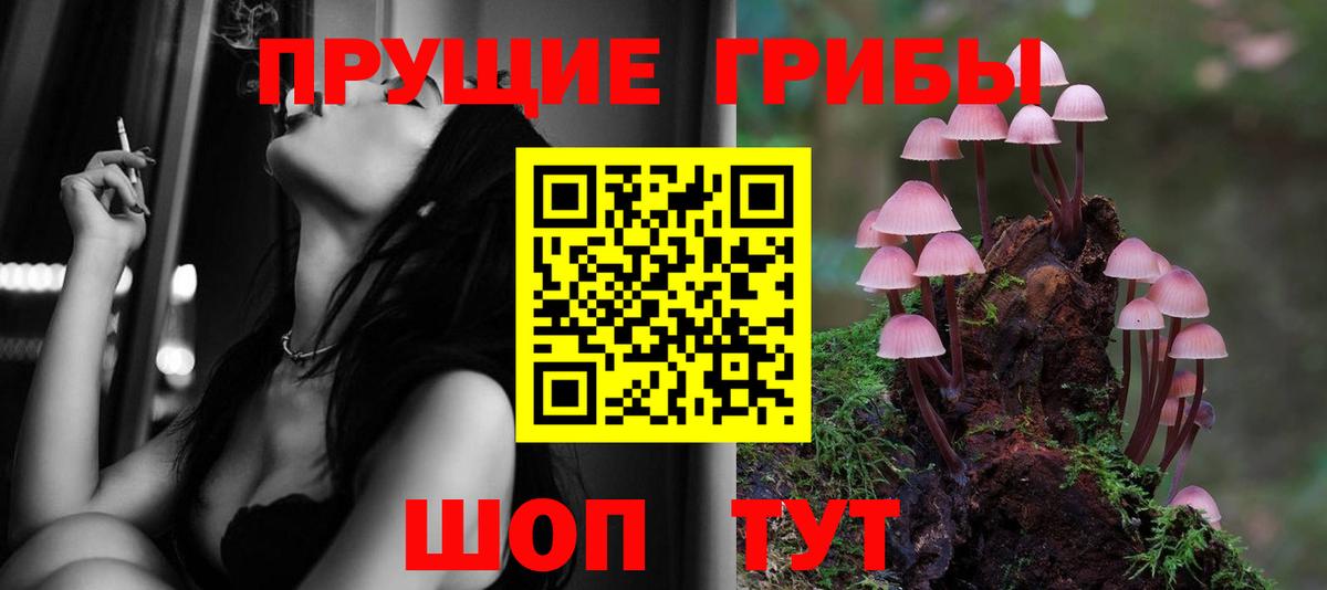 Псилоцибиновые грибы MAGIC MUSHROOMS  Мытищи  Галлюциногенные грибы GOLDEN TEACHER 
